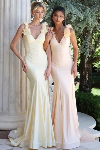 Jovani Style #48120 $3 frontface vertical thumbnail