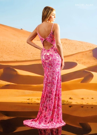 Rachel Allan Style #71085C $6 Hot Pink backface vertical thumbnail