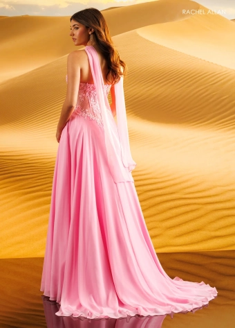 Rachel Allan Style #71117 $10 default Candy Pink backface vertical thumbnail