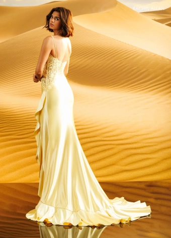 Rachel Allan Style #71197 $8 Yellow backface vertical thumbnail