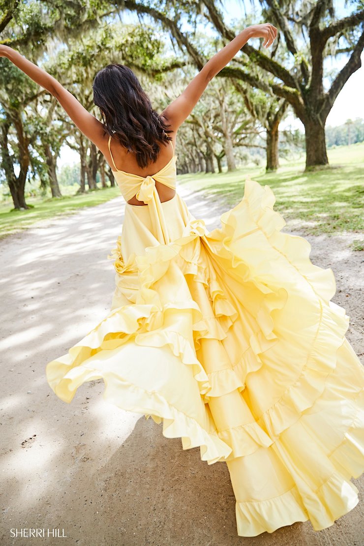 Sherri Hill 52834