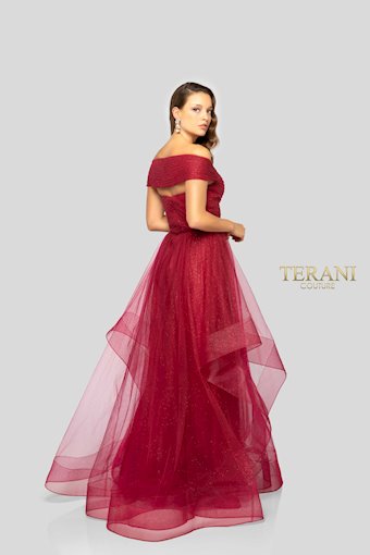 Terani 1911M9665