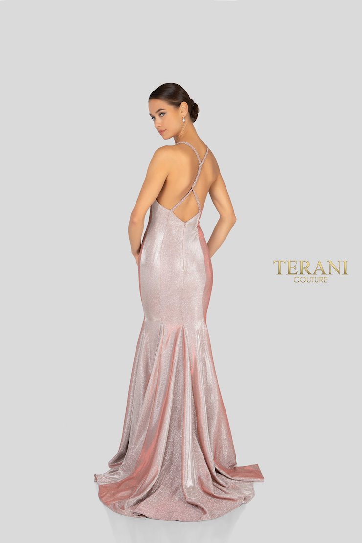 Terani 1911P8174