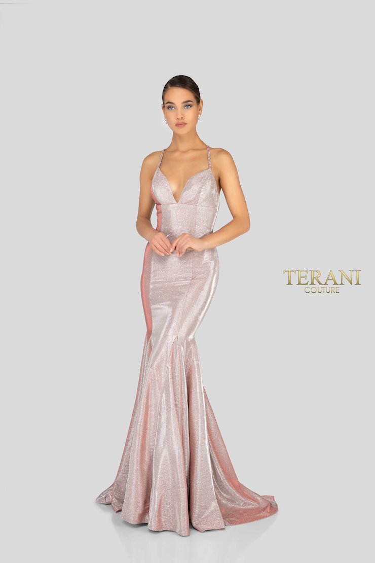 Terani 1911P8174