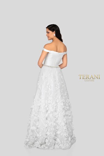 Terani 1911P8513