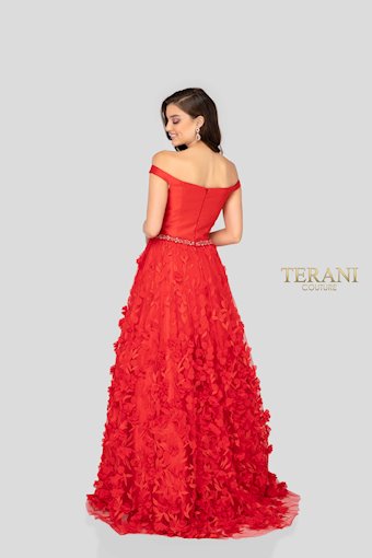 Terani 1911P8513