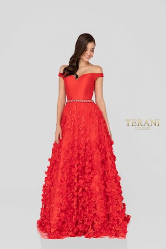 Terani 1911P8513