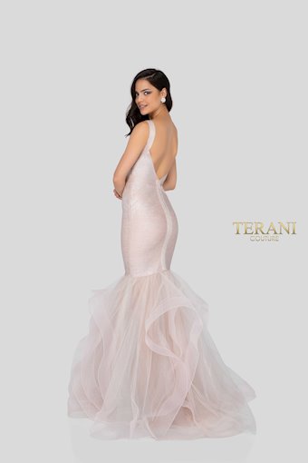 Terani 1911P8640
