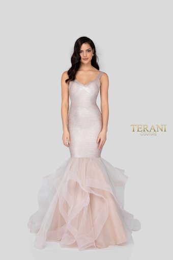 Terani 1911P8640