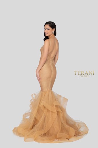Terani 1911P8640