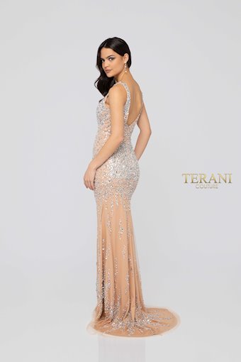 Terani 1912P8199
