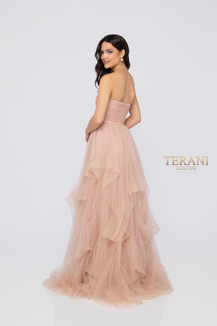 Terani 1912P8273