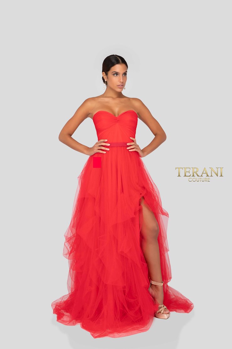 Terani 1912P8273