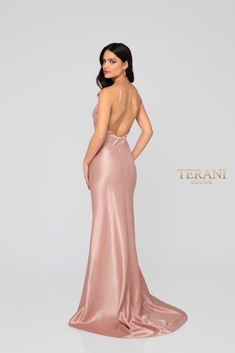 Terani 1912P8278