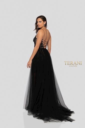 Terani 1913P8041
