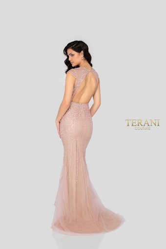 Terani 1913P8311