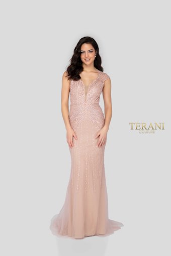 Terani 1913P8311