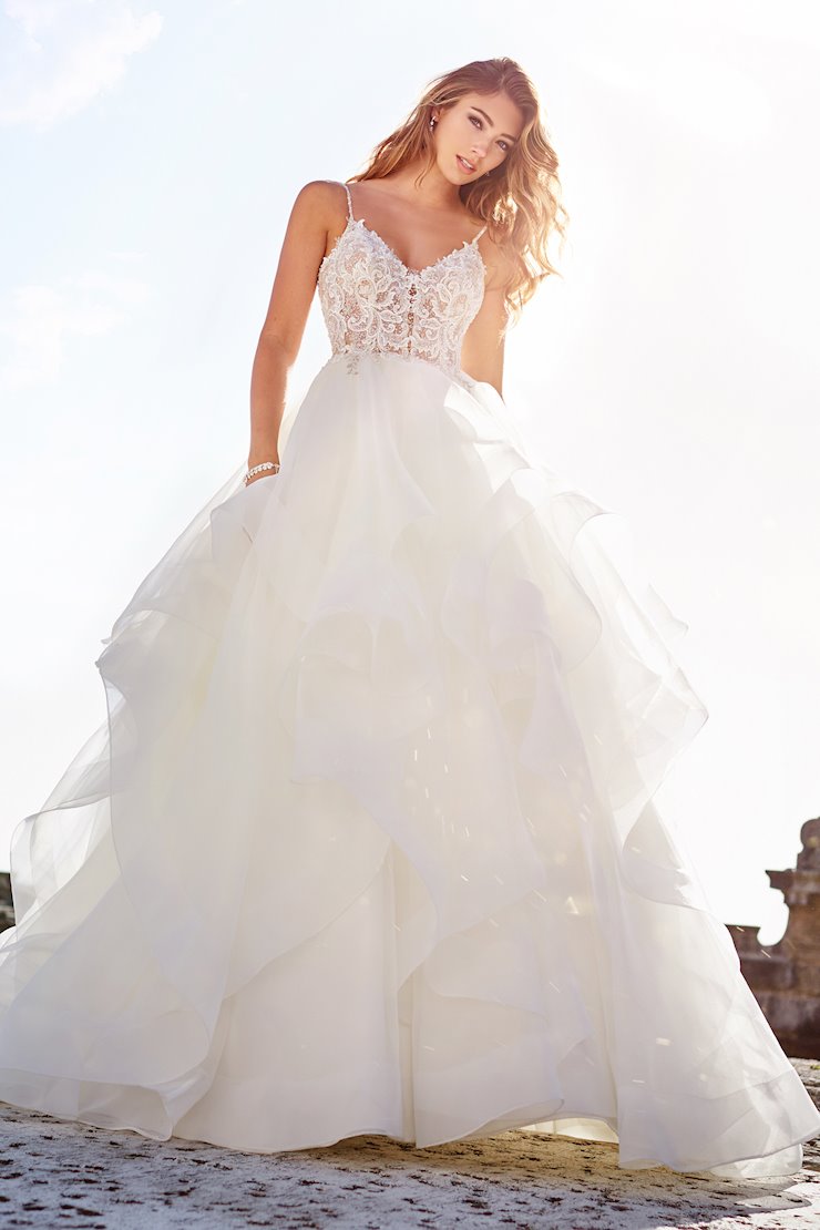 Martin Thornburg Backface Thumbnail Image