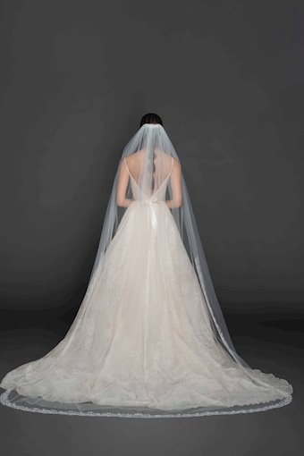 Lazaro Calla