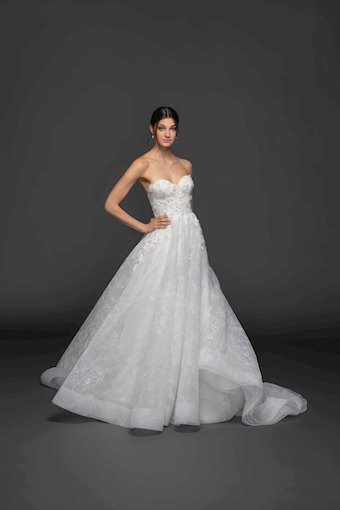 Lazaro Marigold