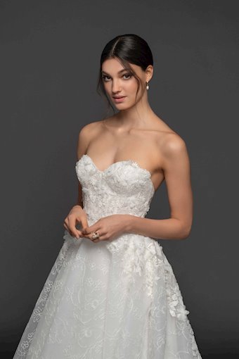 Lazaro Marigold