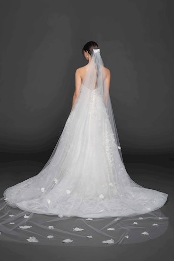 Lazaro Marigold