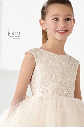 Joan Calabrese 219303