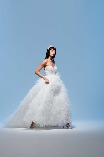 Lazaro Adriana