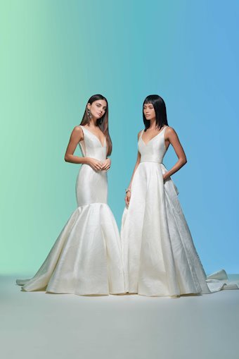 Lazaro Aster