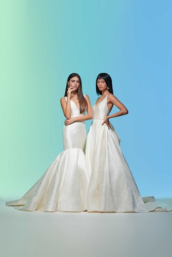 Lazaro Aster