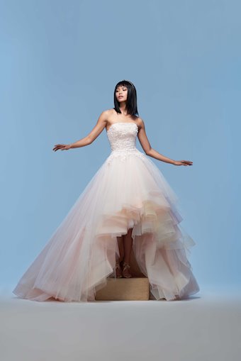 Lazaro Grace