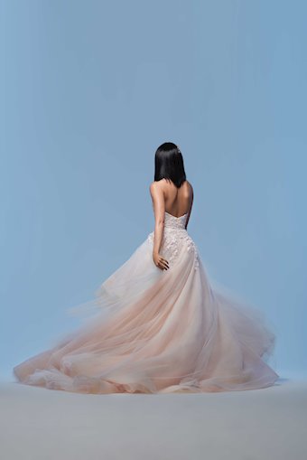 Lazaro Grace