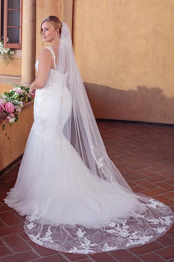 Casablanca Curvy Collection 2320C