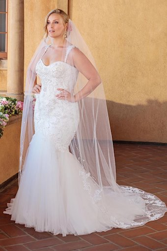 Casablanca Curvy Collection 2320C