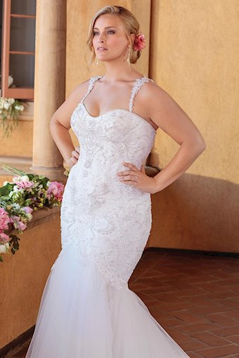 Casablanca Curvy Collection 2320C
