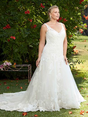 Casablanca Curvy Collection 2269C