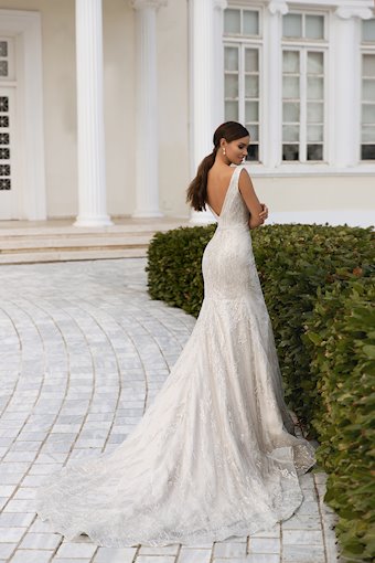 Daniella Di Marino 6329