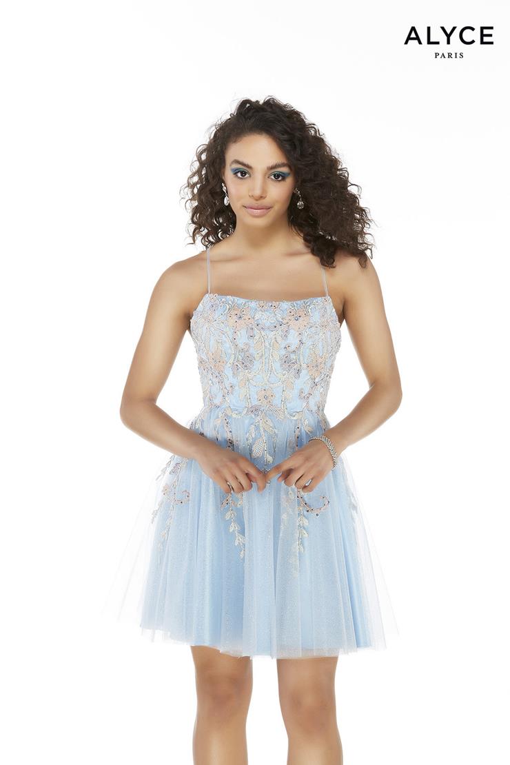 Alyce Paris Style #1609 Image