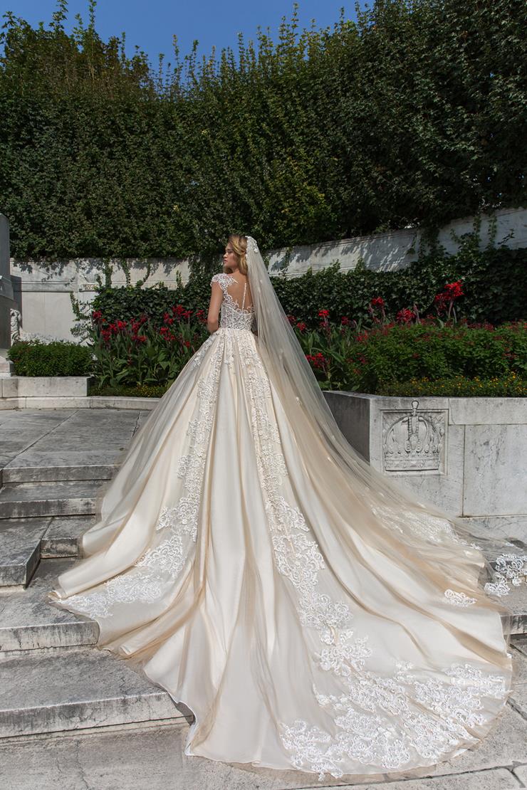 European Couture Backface Thumbnail Image