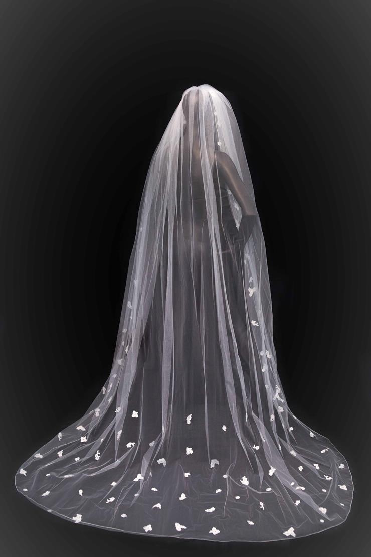 Malis-Henderson #V5543-D Default Thumbnail Image