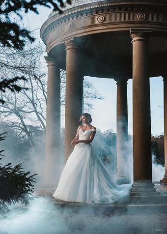 Disney Fairy Tale Weddings #D283 #8 vertical thumbnail