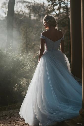 Disney Fairy Tale Weddings Style #D283 #3 vertical thumbnail