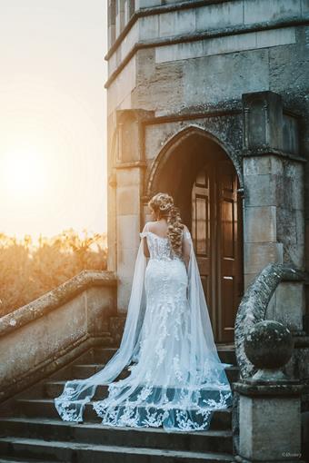 Disney Fairy Tale Weddings Style #D286 #6 vertical thumbnail