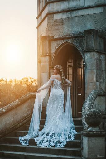 Disney Fairy Tale Weddings #D286 #10 vertical thumbnail