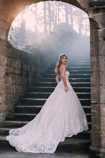 Disney Fairy Tale Weddings Style #D293 #7 vertical thumbnail