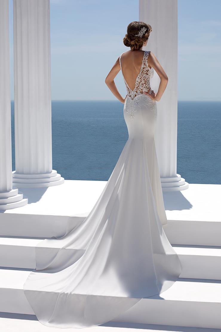 Mark Lesley - 7343 | ConfettiRain Bridal