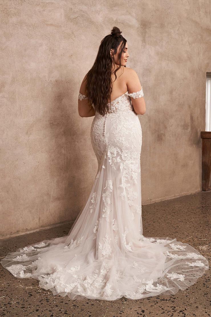 Lillian West 66193PS #1 backface vertical picture