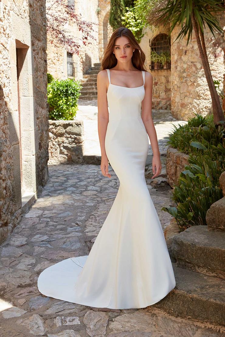 21+ Kelly Faetanini Wedding Dress