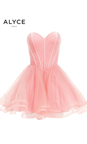 Alyce Paris 2643