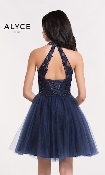 Alyce Paris 2644
